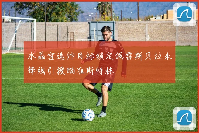 水晶宫选帅目标锁定佩雷斯贝拉米锋线引援瞄准斯特林