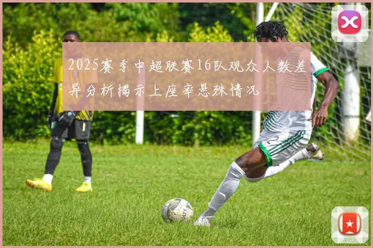 2025赛季中超联赛16队观众人数差异分析揭示上座率悬殊情况