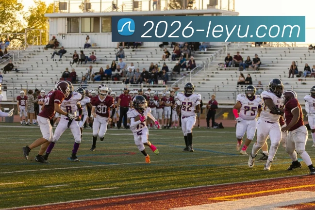 乐鱼体育服务体系