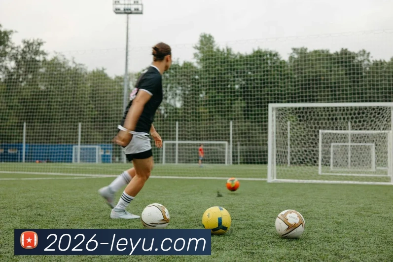 多媒体互动体验